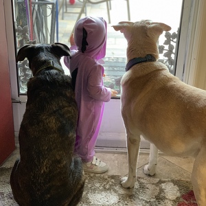 Fundraising Page: Shari McCray